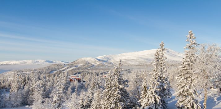 Viaggio invernale in Svezia, Kiruna  4